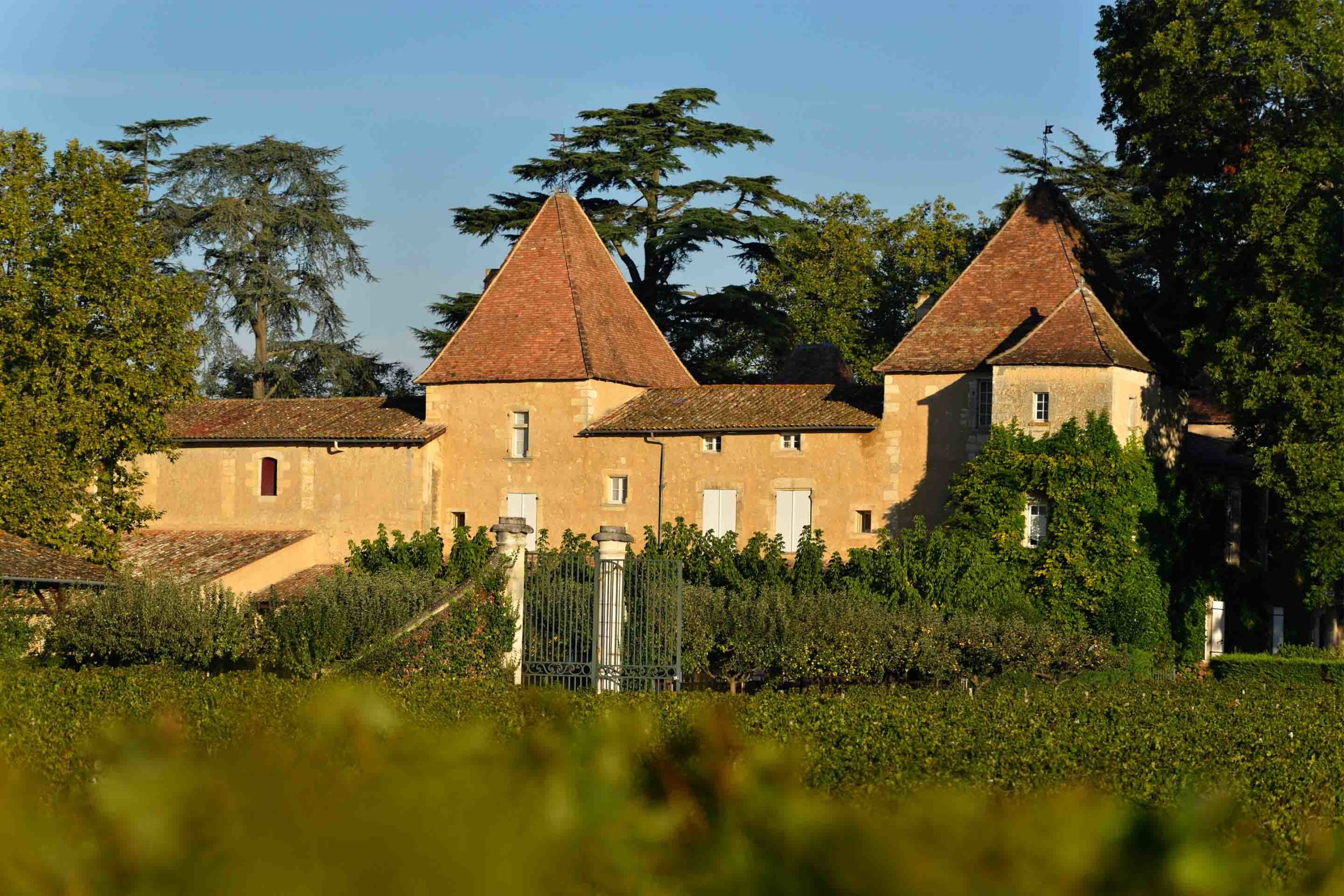 Chateau Carbonnieux