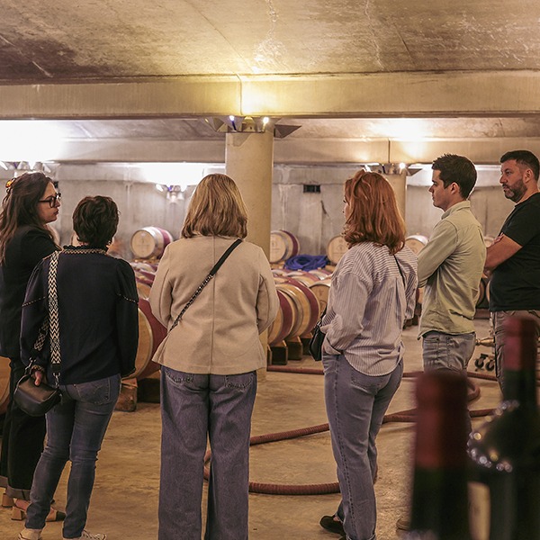 visite classique 3 vins